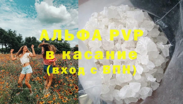 Альфа ПВП Сосновоборск