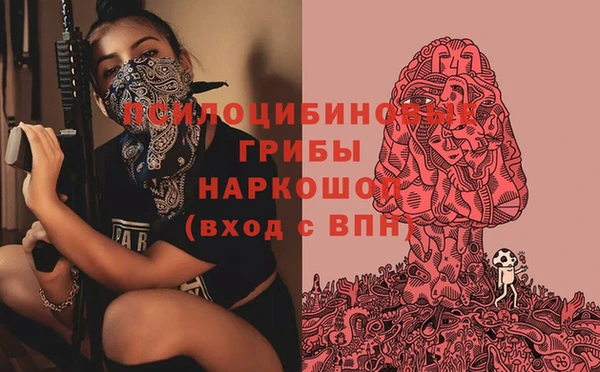 spice Алексеевка