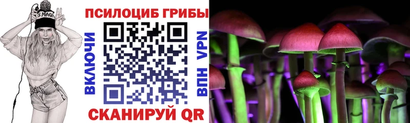 Галлюциногенные грибы Psilocybe  Купить  Бор 